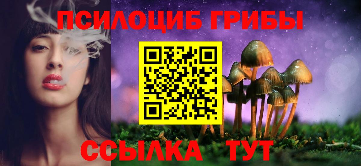 Михайловка  Псилоцибиновые грибы GOLDEN TEACHER  Вход с VPN  Псилоцибиновые грибы мицелий 